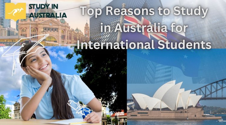 Top Reasons to Study in Australia for International Students